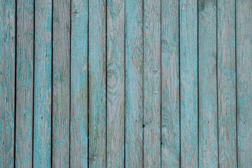 Texture of old green fence