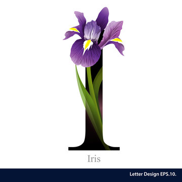 Letter I  Vector Alphabet With Iris Flower. ABC Concept Type As