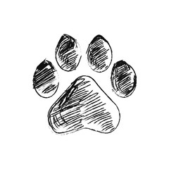 hand drawn doodle of animal footpri, Vector illustration. - obrazy, fototapety, plakaty