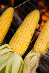 Corn on the grill