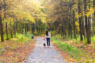 Fototapeta premium Young mother walking with her baby in an autumn park