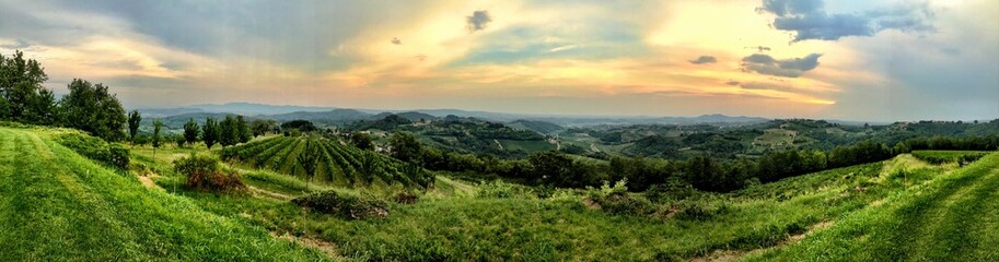 Fototapeta na wymiar Awesome italian of a green field at the sunset
