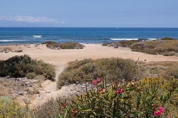 Playa de Las Américas