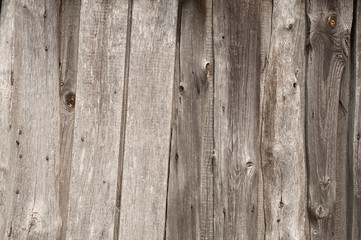 Texture of old gray fence
