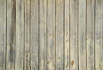 Texture of old green fence