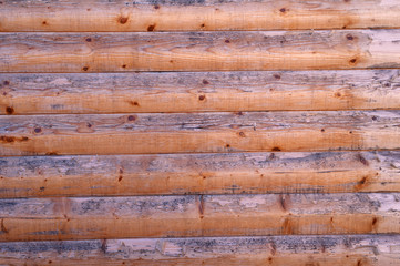Texture of old gray fence