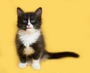 Small fluffy black and white kitten sitting on yellow