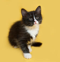 Small fluffy black and white kitten sitting on yellow