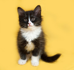 Small fluffy black and white kitten sitting on yellow