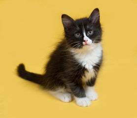 Small fluffy black and white kitten sitting on yellow