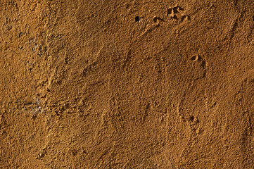 Texture of old wall covered with yellow stucco