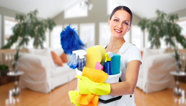 Young beautiful maid.