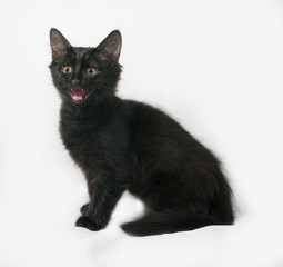Black kitten sitting on gray