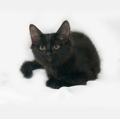 Black kitten lies on gray