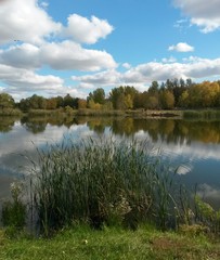 Obraz premium Pond in the park in autumn