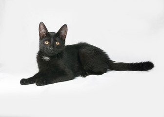 Black and white fluffy kitten lies on gray