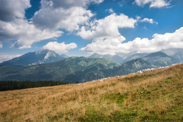 Tatra mountains.