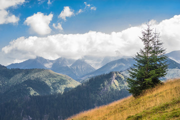 Fototapeta premium Tatra mountains.
