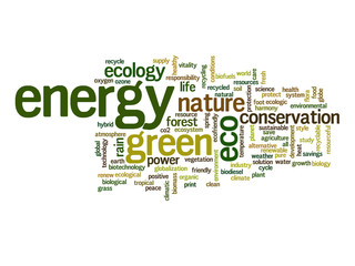 Conceptual ecology word cloud