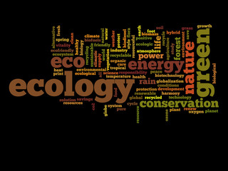 Conceptual ecology word cloud