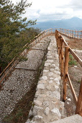 Wooden fence particular