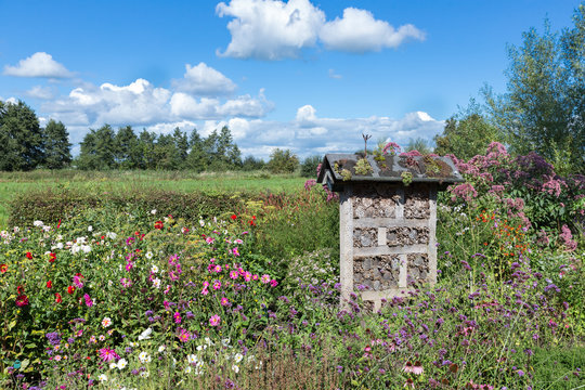 Dutch National Park With Insects Hotel In Colorful Garden