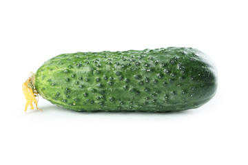 Fresh cucumber isolated on white