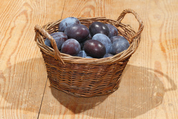 Frisch geerntete Pflaumen