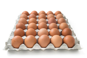 eggs in carton package