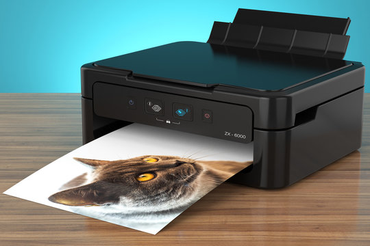 photo printer with cat