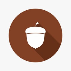 Vector Flat Icon of Acorn.