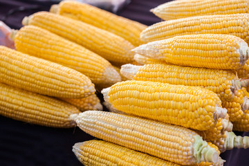 Few yellow corn