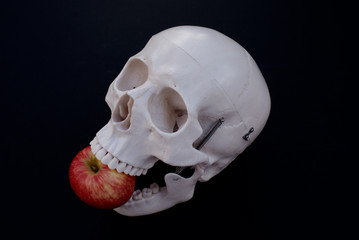 Skull with Apple 