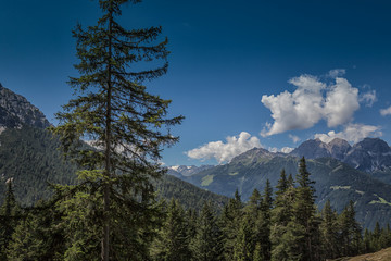 Forest in the Stubaital - Austria