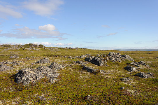 Rocky tundra landscape in summer