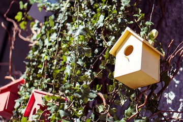 Cute birdhous on a branch