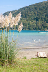 Obraz premium Lac de Paladru à Chavarines