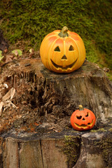 Halloween decoration