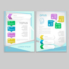 Vector Brochure Flyer design Layout template. infographic