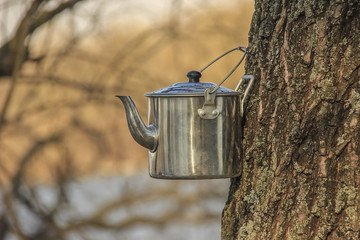 Kettle for tea camping