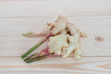 Young Ginger Root With Shoots