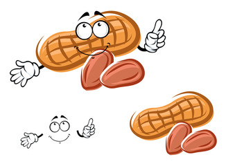 Cartoon orange peanut and nuts