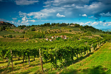 Fototapety  San Gimignano z winnicą