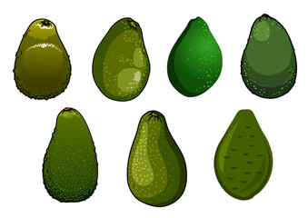 Dark green isolated avocado fruits