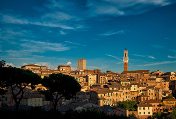 Fototapeta premium Nice houses in the old town of Siena