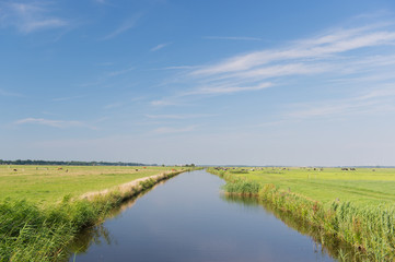Fototapeta premium Typical Dutch landscape
