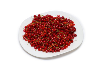 Red currant berries isolated on white