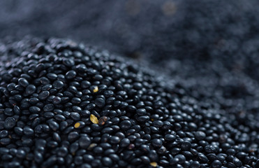 Black Lentils (food background)