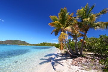 Fototapeta premium Beef Island Beach in the British Virgin Islands
