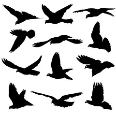 Fototapeta premium Concept of love or peace. Set of silhouettes of doves. Vector il